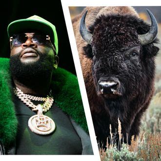 Rick Ross' buffalo have been escaping his Promise Land estate and into a neighbor's yard, much to her chagrin, according to a report from TMZ. Rapper and rancher Ross, who lives in Fayetteville ...
